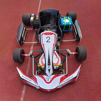 Vitesse Karting Vitesse maximale de 120 KM Simulateur Karting Voiture Adulte Racing Jeu Console Essence Karting