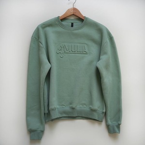 Custom Logo Heavyweight Sweatshirt 3D Embossed Crewneck Print Design 100% Cotton Terry Eco-Friendly Hoodie for Man