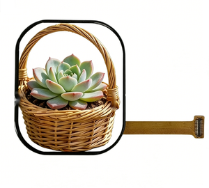 โมดูล AMOLED ขนาด 2.05 นิ้ว จอแสดงผล TFT OLED สำหรับอุปกรณ์สวมใส่ - Product Image 4