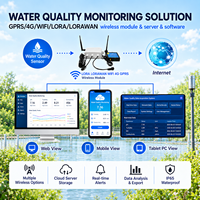 Sensor Kualitas Air Dengan Layar untuk Mengukur PH ORP dan Suhu Secara Bersamaan untuk Akuakultur