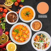 150 pièces Heavy Duty 100% Compostable Blanc 10 pouces Assiettes Jetables Eco Sugarcane Fiber Biodégradable Assiettes Bagasse