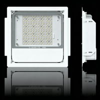 5 Yıl Garantili 100W 150W 200W IP66 Yüksek Parlaklıklı LED Benzin İstasyonu Tavan Lambası
