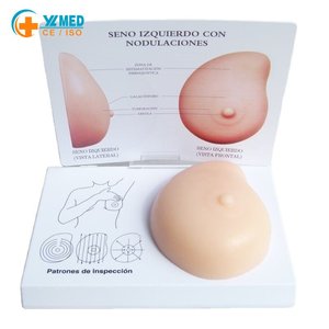 Modelo Anatómico Humano de Seno Femenino en Silicona 3D, Material Suave, para Práctica de Autoexploración, con Certificación CE/ISO - Product Image 1