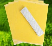 Les insectes collants matériels jaunes de PP piège le piège collant collant de mouche avec la colle qui respecte l'environnement