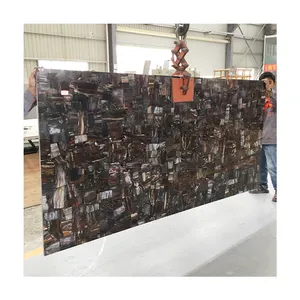 Unique And Luxury Black Petrified Wood/Wood Jade Slab For Worktop Wall Decor