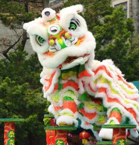 Pantalon de danse du lion chinois en laine peluche pour adultes, pour spectacles sur scène, festivals traditionnels et du Nouvel An chinois, personnalisé - Product Image 2