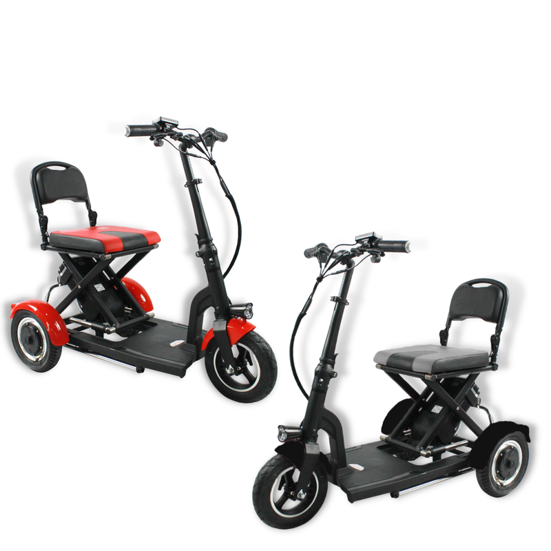 China Factory 36v 300w 3 Wheel
