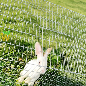 Cage en grillage métallique pour poulets, coqs, lapins et cailles - Product Image 3