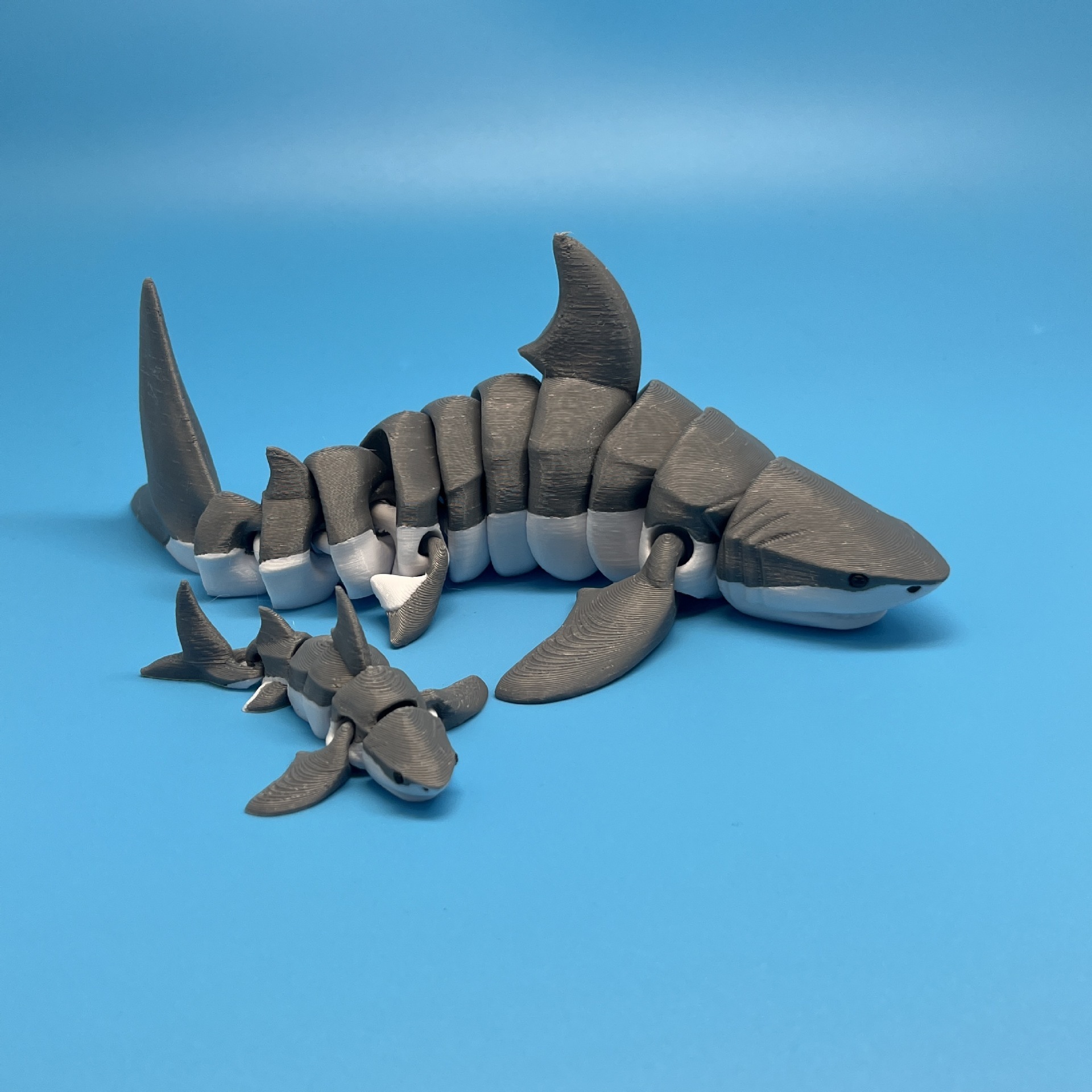 tiburón blanco gris oscuro