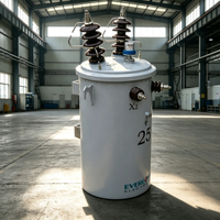 Transformateur monophasé immergé dans l'huile, à bobine toroïdale, de type colonne, haute efficacité 0.98, D11 100KVA, entrée 10KV
