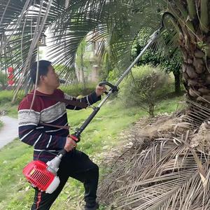 Potente Cosechadora de Gasolina con Motor y Transmisión por Engranajes para la Cosecha de Aceitunas de Alta Productividad - Product Image 3