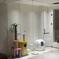 Cage à chat moderne pour l'extérieur, villa, maison, verre transparent, panoramique, grande, sur mesure, luxueuse, maison pour chat, nid