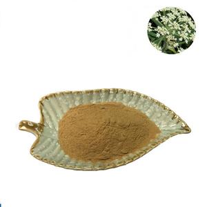 Puur Natuurlijke Food Grade Qianghuo <span class=keywords><strong>Notopterygium</strong></span> Incisum Wortel & Wortelstok <span class=keywords><strong>Extract</strong></span> Poeder - Product Image 1