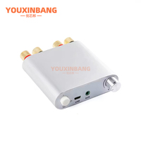Module d'amplificateur audio 5.0 100W+100W, double canal stéréo 2.0, boîtier en alliage d'aluminium