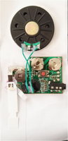 Capteur de lumière Module d'enregistrement puce audio usb télécharger le son à partir d'un PC ou d'un téléphone pour la boîte de cartes à musique