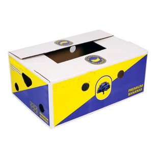 Corrugated Cardboard Paper Pear Orange Apple Lemon Mango Banana Fruit Vegetable Packing Packaging Carton Box