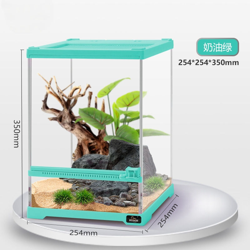 [XTD1] Cream Green 25.4*25.4*35