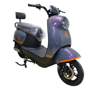 Scooter électrique gris pour adultes homologué pour la route, 2 kW, 50-60 km, 35-40 km/h, batterie au plomb-acide ou au lithium - Product Image 1