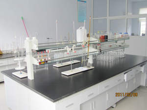 Le formiate de calcium à bas prix peut être utilisé dans le béton, le mortier sec et les adhésifs pour carreaux - Product Image 3