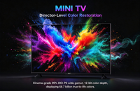 Téléviseur LED MINI UHD 75 pouces, Smart TV WiFi avec mode jeu et haut-parleur intégré pour usage hôtelier, certifié CE/FCC, boîtier noir