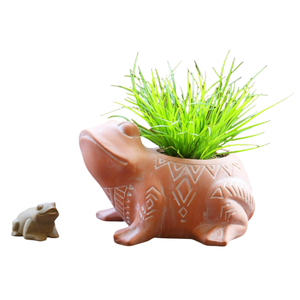 Soportes para Plantas Aéreas Kodama Tree Spirits Kooki Keera - Product Image 6