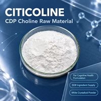 Citicoline CDP Choline en Poudre en Vrac Ingrédient Nootropique Complément Alimentaire Santé Cérébrale Concentration Mémoire Fabricant Vente en Gros