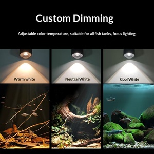 Foco LED Ajustable y Ecológico de Plástico ABS para Peceras Sudamericanas con Enfoque Variable, Embalaje en Caja, 10W - Product Image 4