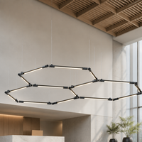 Luminaire suspendu géométrique DGLUX DIY pour restaurant, café, bureau, salle d'exposition, lampe suspendue linéaire personnalisée, rotative à 360 degrés
