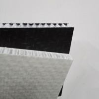Panneau composite en nid d'abeille en plastique PP/PE léger et durable, panneau sandwich composite pour boîte de remorque