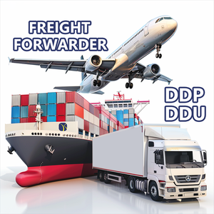 Agente de Transporte de Carga DDP DropShipping para Envíos LCL Express por Aire y Mar desde China a Alemania, Reino Unido, Francia, Estados Unidos, Canadá, España, Italia - Product Image 3