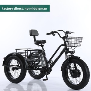 Tricycle électrique à gros pneus 500W, batterie lithium 48V 12Ah, 20 pouces, 3 roues, vélo électrique cargo pour la neige et tous les terrains - Product Image 3