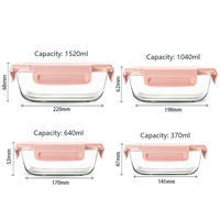 Ensemble de boîtes à lunch en verre borosilicate de haute qualité sans BPA, couvercles roses, ensembles de contenants alimentaires pour la cuisine