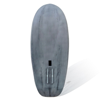 Panneau en fibre de carbone EPS epoxy cerf-volant dur surf hydro