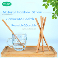 Pailles à boire classiques en bambou bio écologiques, durables, biodégradables, certifiées LFGB, polies, naturelles, 200 mm, accessoires