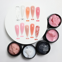 YouGel Vernis Gel UV 10 Couleurs Formule Solide Non Collante pour Extensions d'Ongles avec Constructeur de Peinture en Bouteille (Non Toxique)