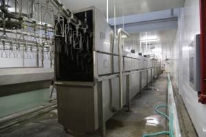 เครื่องลวกสัตว์ปีกอัตโนมัติ สแตนเลส สำหรับสายการผลิตการฆ่าไก่และเป็ด - Product Image 2