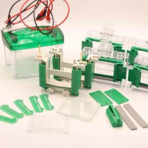 Bac d'électrophorèse vertical Zhongke Yongyi EPT-VT04 4 plaques mini pour le transfert Western des protéines, usage en laboratoire - Product Image 4
