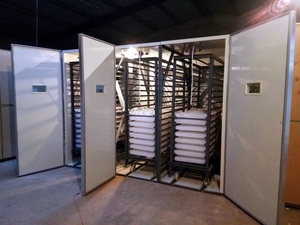 Máy Ấp Trứng Bán Chạy Máy Ấp Trứng Công Nghiệp Tự Động Máy Ấp Trứng/Máy Ấp Trứng - Product Image 6