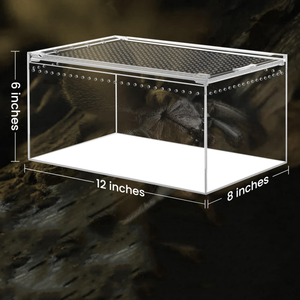 Reptile <strong>Terrarium</strong> Acrylic Enclosure Reptile Cage Breathable <strong>Plastic</strong> Breeding Box for Insect Lizard Spider - Product Image 5