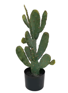 Venta caliente barato plantas tropicales de interior pequeña planta del desierto en maceta bonsái <span class=keywords><strong>cactus</strong></span> suculento Artificial - Product Image 2