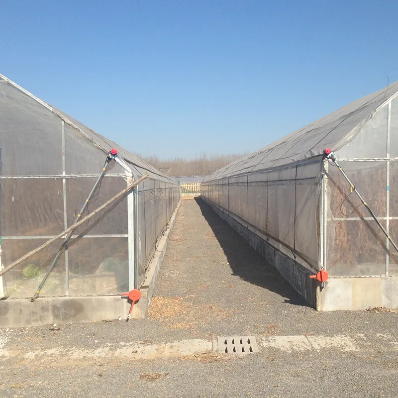 cheap agriculture farm greenhouse for cultivation
