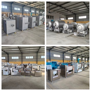 Промышленная мясорубка для замороженного мяса для мясоперерабатывающих предприятий и мясных лавок - Product Image 6