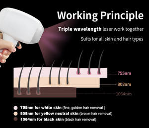 Dispositif d'épilation de <span class=keywords><strong>laser</strong></span> de la diode 808nm épilation indolore pour le traitement de salon de beauté - Product Image 6