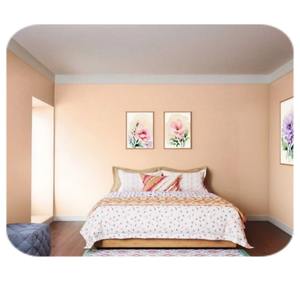 <span class=keywords><strong>Peinture</strong></span> murale intérieure acrylique résistante à la moisissure Blue Kingfishe, revêtement hygiénique pour les zones sujettes à l'humidité et les surfaces propres - Product Image 4