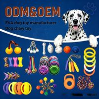 Disque volant interactif pour chien en EVA, boomerang, ensemble de jouets à mâcher souples et légers pour animaux de compagnie, pour l'extérieur et l'eau