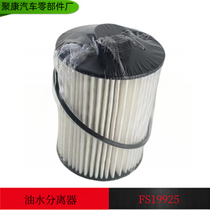 ไส้กรองน้ำมันเชื้อเพลิง Fs19925 สำหรับเครื่องยนต์ดีเซล Qingling Isuzu อะไหล่เปลี่ยนตัวแยกน้ำมันและน้ำ - Product Image 5