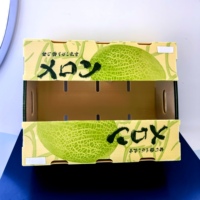 Emballage plastique de fruits PP carton creux Corflute Boîte à fruits Coroplast boîte alimentaire ondulée en plastique pour légumes et fruits