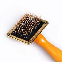 Brosse lissante pour chien avec manche en bois, caoutchouc et acier inoxydable, écologique, sûre, douce, pour la perte de poils chez les chiens