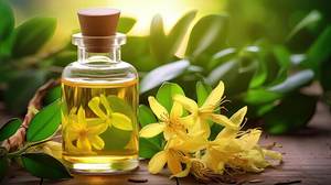 Natural Ylang Ylang <b>Essential</b> <b>Oil</b> for <b>Diffuser</b> and Cosmetic Manufacturing High Quality Steam Distilled <b>Oil</b> for Personal Care - Product Image 6