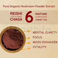 Mélange de 6 champignons biologiques en poudre : Crinière de lion, Cordyceps, Reishi, Chaga, Queue de dinde, Maitake
